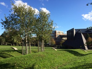Spa Fields Park in Islington. Nice spot for lunch with convenient hills to sit or lay out on.